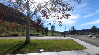 Enlarge photo 10