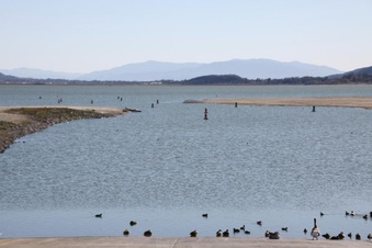 Enlarge photo 19
