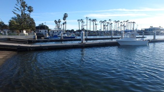 Enlarge photo 17