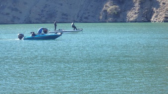 Enlarge photo 34