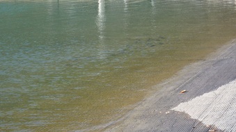 Enlarge photo 36