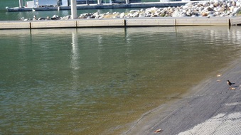 Enlarge photo 37