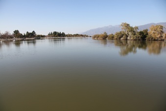 Enlarge photo 14
