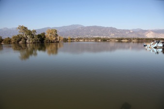 Enlarge photo 15
