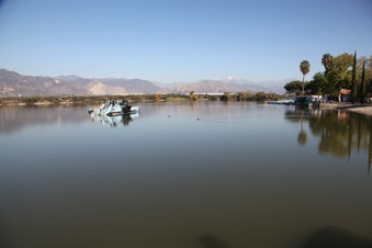Enlarge photo 16