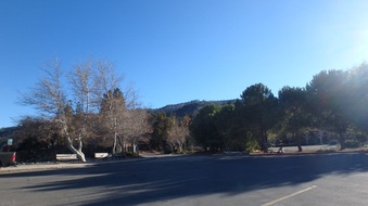 Enlarge photo 12