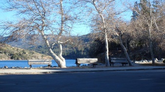 Enlarge photo 14