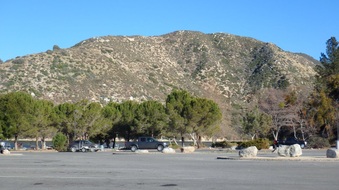 Enlarge photo 19