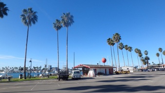 Enlarge photo 37