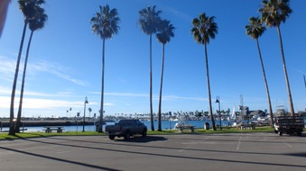 Enlarge photo 40
