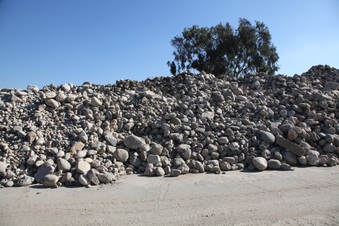 Enlarge photo 66