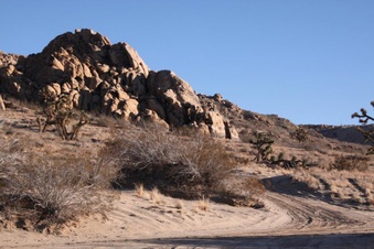 Enlarge photo 2