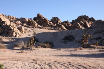 Enlarge photo 11