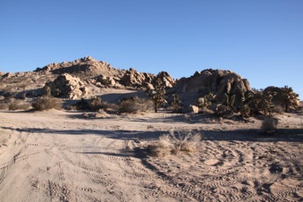 Enlarge photo 15