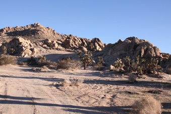 Enlarge photo 17