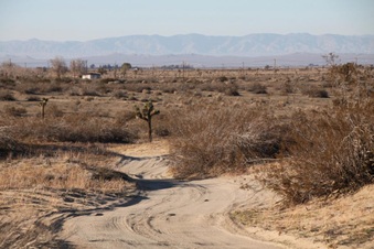 Enlarge photo 20