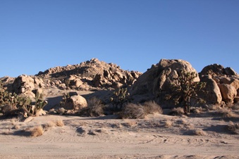 Enlarge photo 21