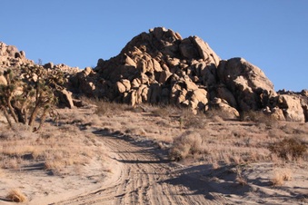 Enlarge photo 23