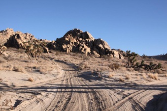 Enlarge photo 24