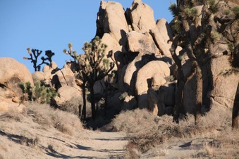 Enlarge photo 25
