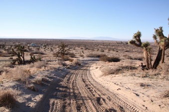 Enlarge photo 26