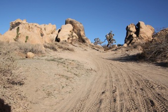 Enlarge photo 28