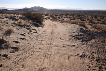 Enlarge photo 29