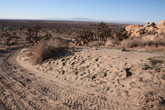 Enlarge photo 30