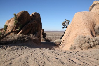 Enlarge photo 32