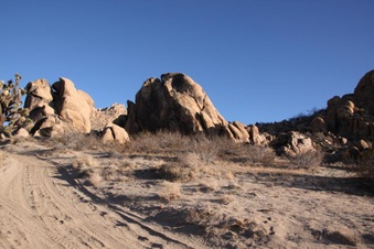 Enlarge photo 35