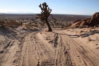 Enlarge photo 38