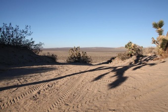 Enlarge photo 39