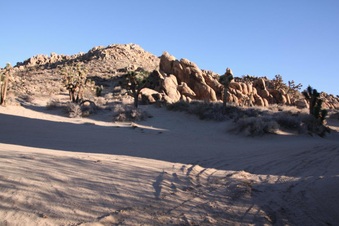 Enlarge photo 40