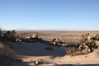 Enlarge photo 41
