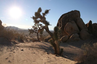 Enlarge photo 42