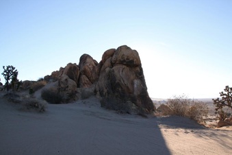 Enlarge photo 43
