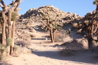 Enlarge photo 44