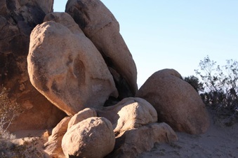 Enlarge photo 45