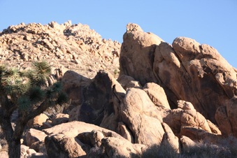 Enlarge photo 46