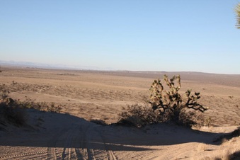 Enlarge photo 47