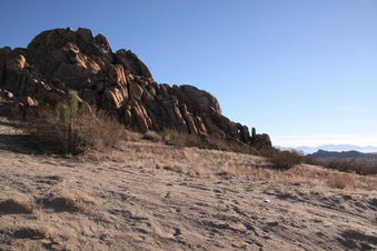 Enlarge photo 49