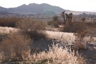Enlarge photo 50