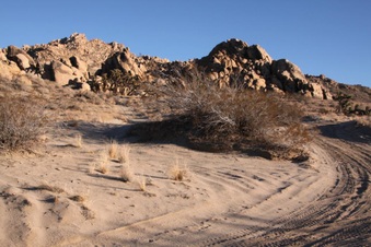 Enlarge photo 51