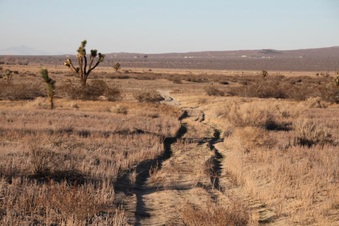 Enlarge photo 52