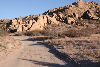 Enlarge photo 53