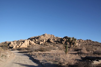 Enlarge photo 54