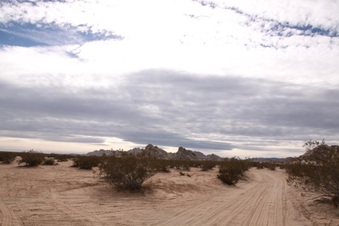 Enlarge photo 15