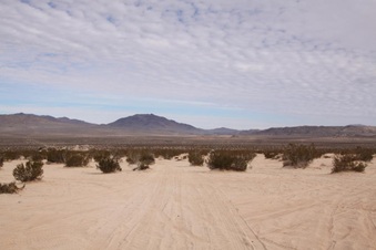Enlarge photo 20