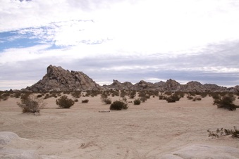 Enlarge photo 23