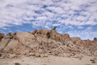 Enlarge photo 39